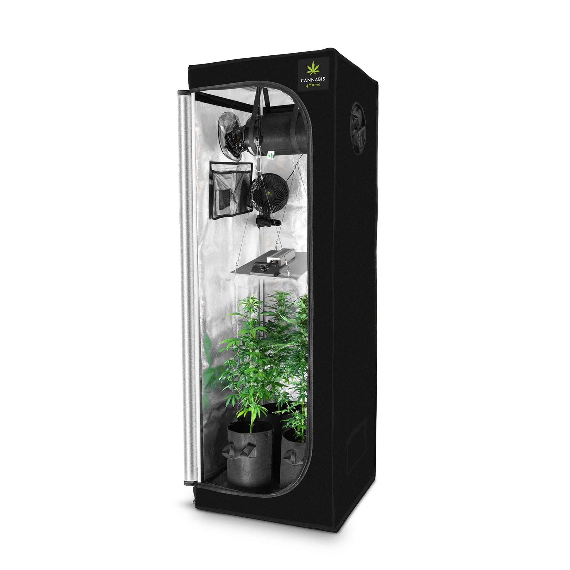 cannabis pflanzen zelt GrowBox Komplettset S / 60 x 60 x 180cm – Canna4Home